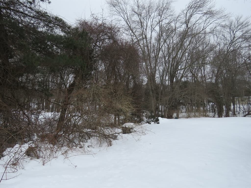 49 Eastbridge Drive, Taunton MA 02780 photo 13