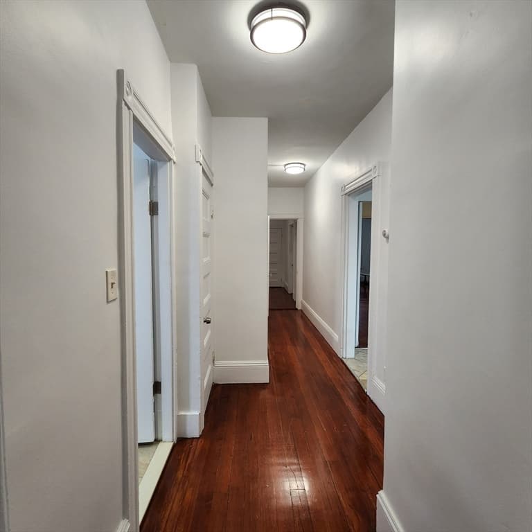 3 Family at 15 Mclellan St, Boston MA 02121, Boston, photo 15 of 35