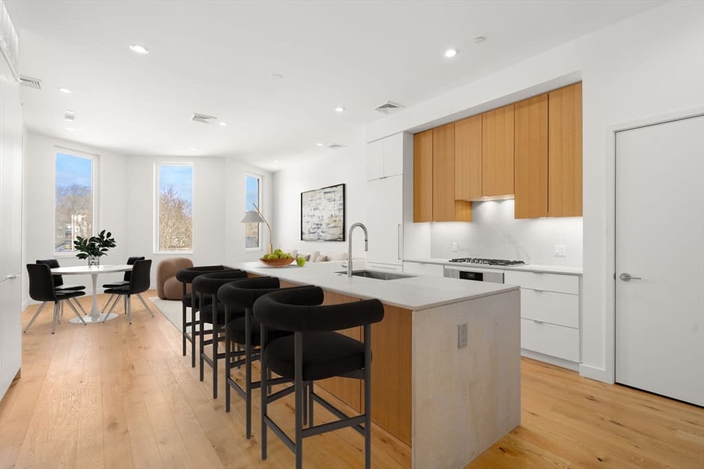 80 Terrace Street # 501, Boston MA 02120