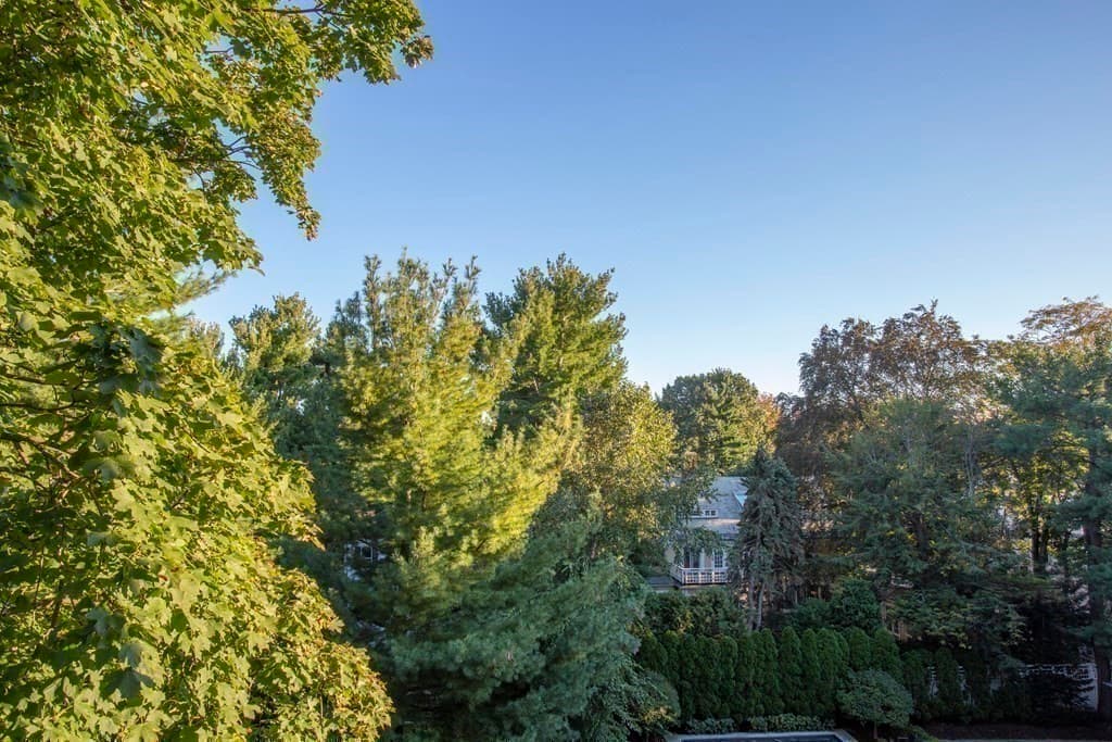Condominium at 16 Chauncy # 53, Cambridge MA 02138, Cambridge, photo 21 of 24