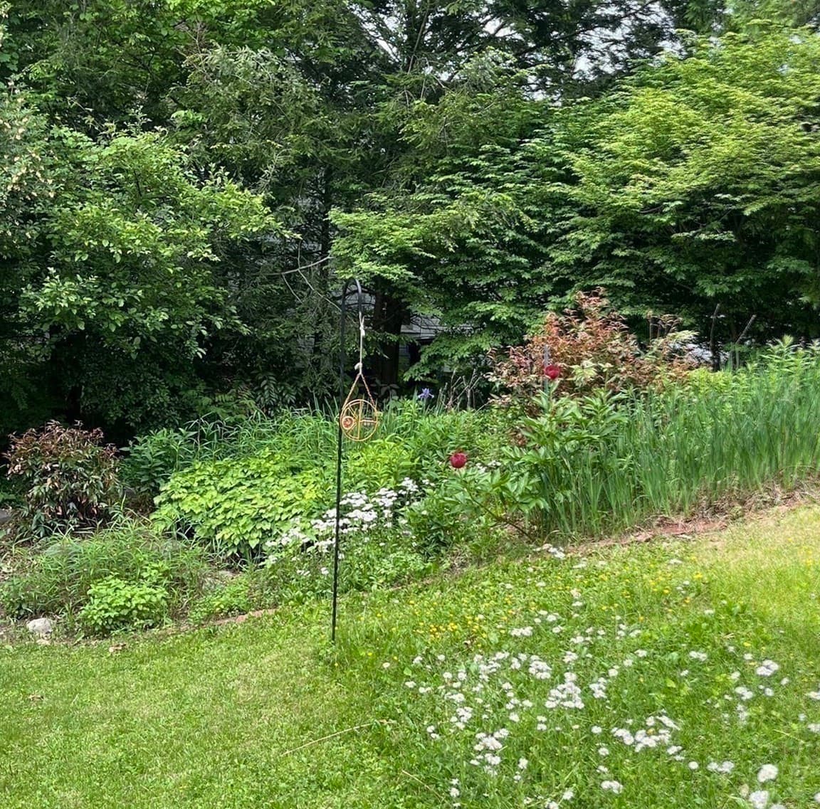 Single Family Residence at 50 Mount Pleasant, Amherst MA 01002, Amherst, photo 3 of 41