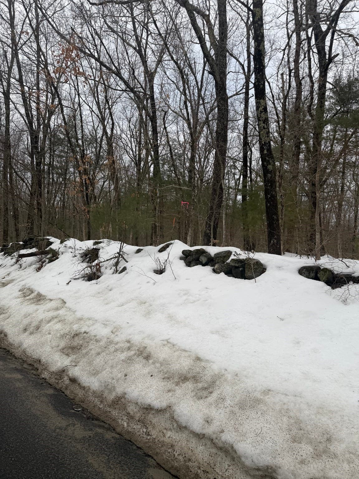 Residential at 166V Beebe Rd, Monson MA 01057, photo 2 of 3