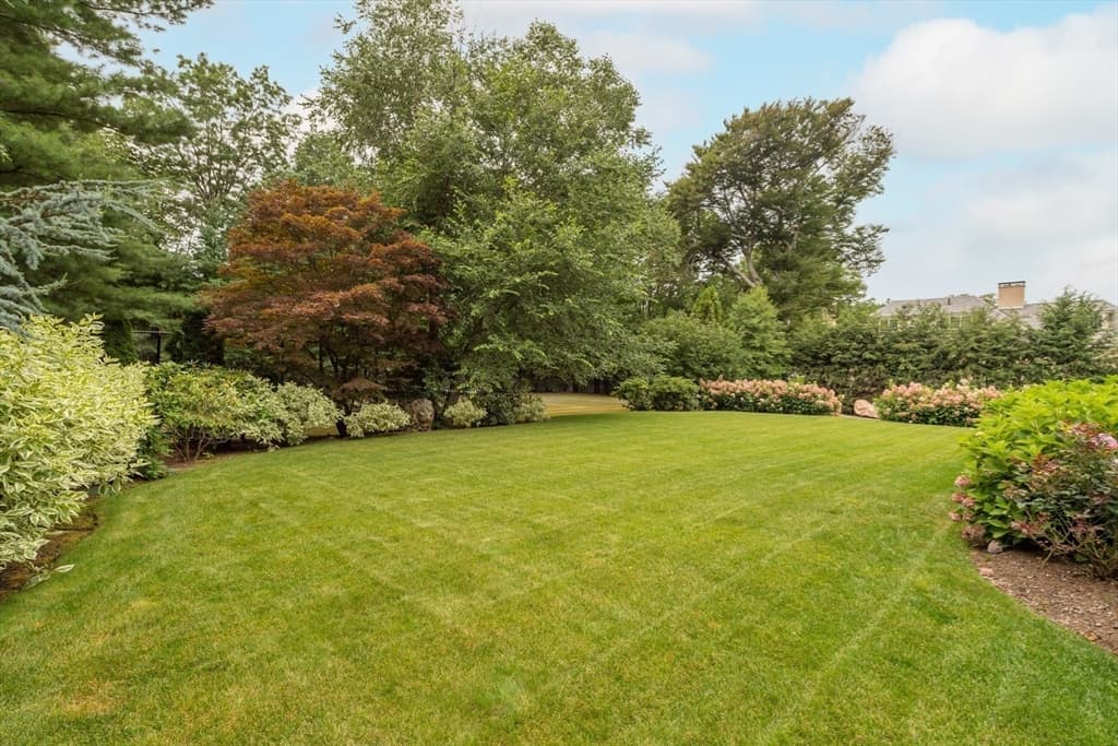 355 Buckminster Road, Brookline MA 02445 photo 27