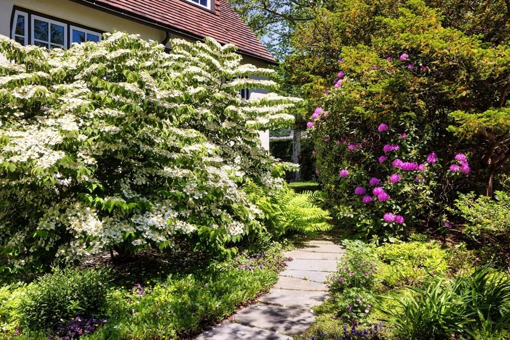Single Family Residence at 55 Penniman Rd, Brookline MA 02445, photo 24 of 26