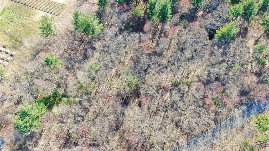 0 Hampshire Road, Methuen MA 01844 photo 6