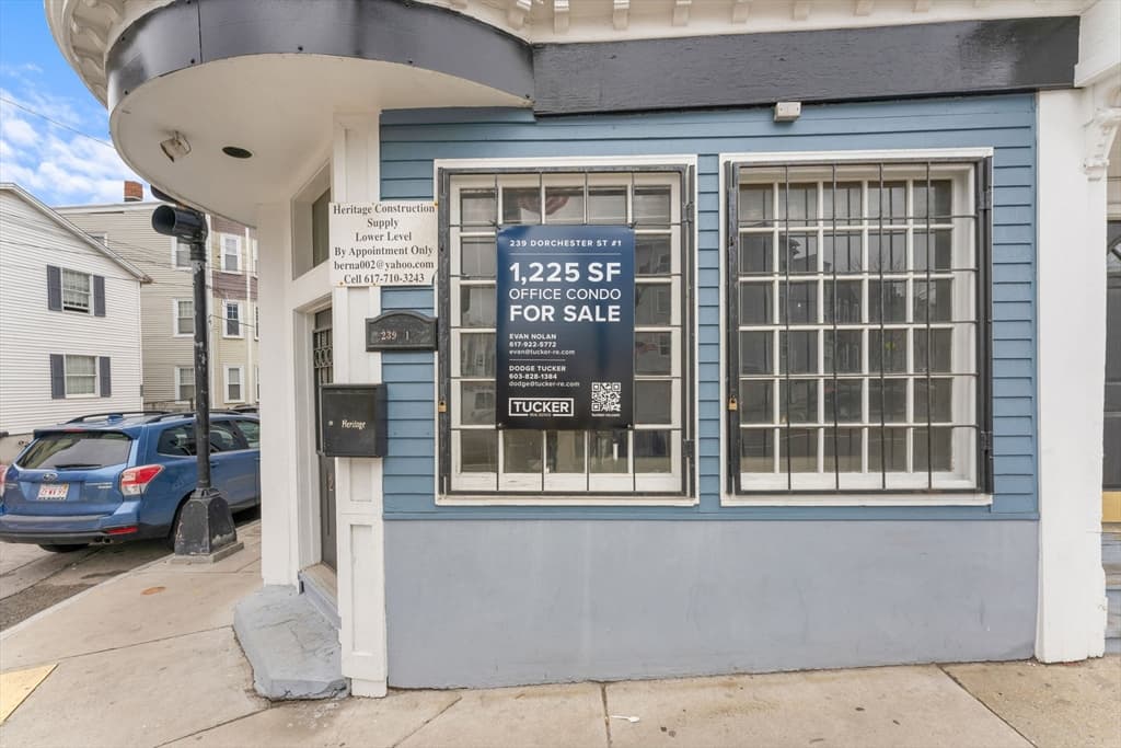 239 Dorchester Street # 1, Boston MA 02127 photo 24