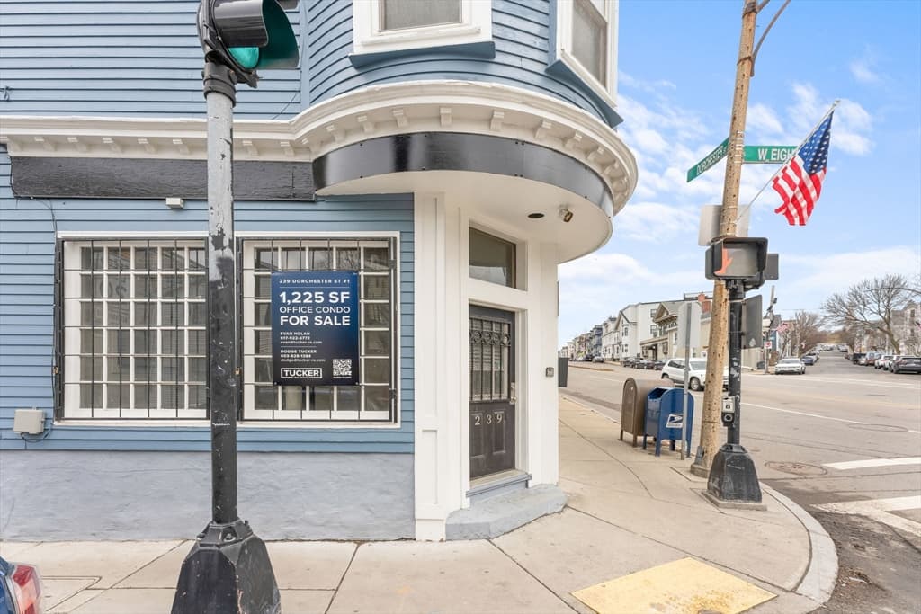239 Dorchester Street # 1, Boston MA 02127 photo 25