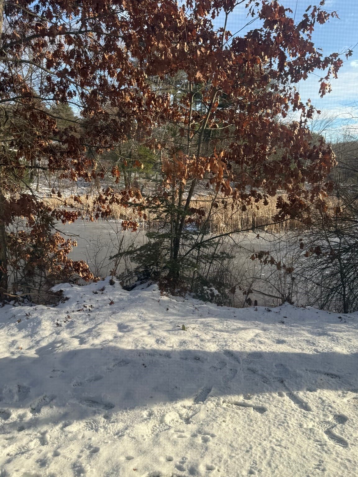 Mobile Home at 4 Center Street, Brimfield MA 01010, photo 15 of 16