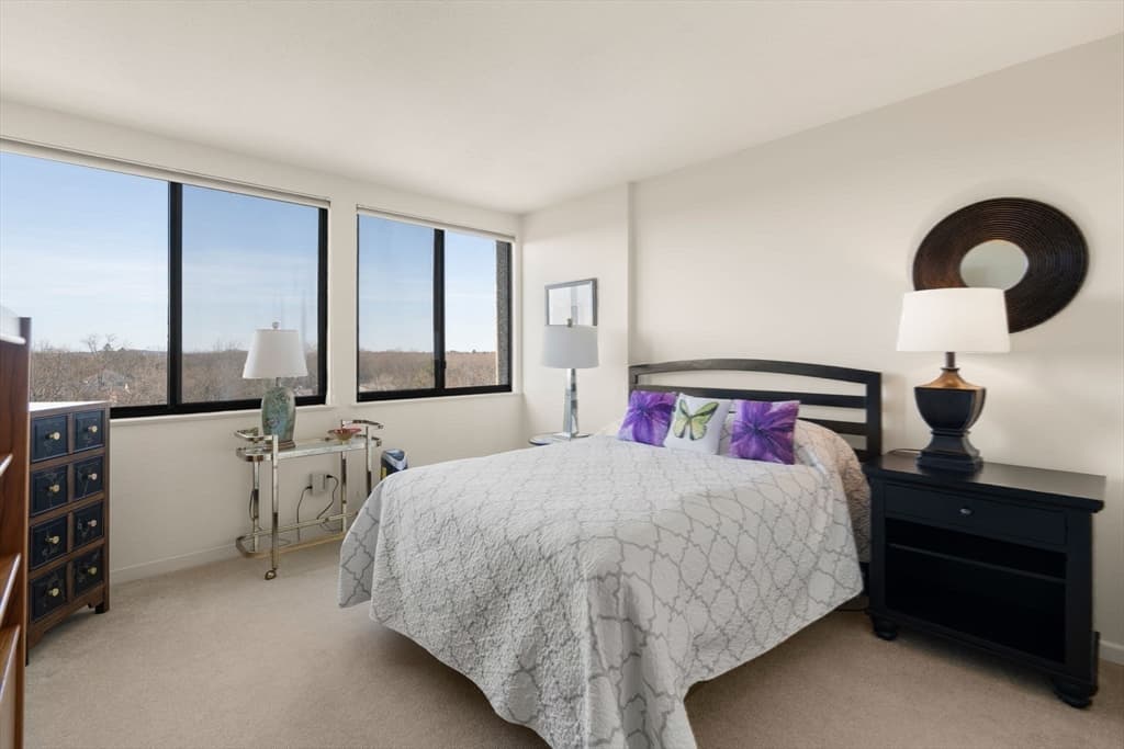 Condominium at 250 Hammond Pond Parkway # 1111S, Newton MA 02467, Newton, photo 15 of 28