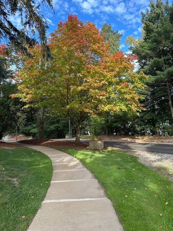 Condominium at 250 Hammond Pond Parkway # 1111S, Newton MA 02467, Newton, photo 25 of 28