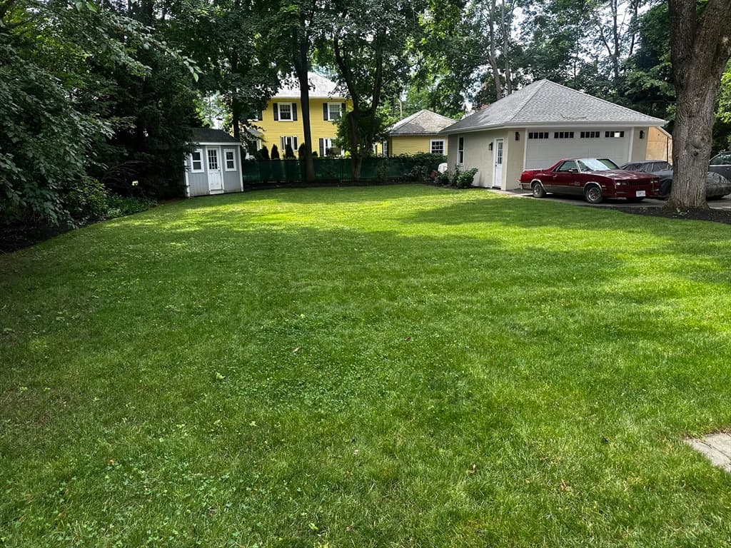 524 Ward St, Newton MA 02459 photo 37