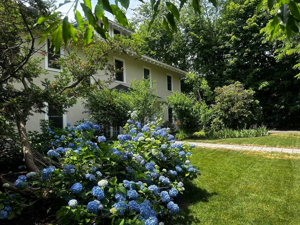 524 Ward St, Newton MA 02459 photo 4