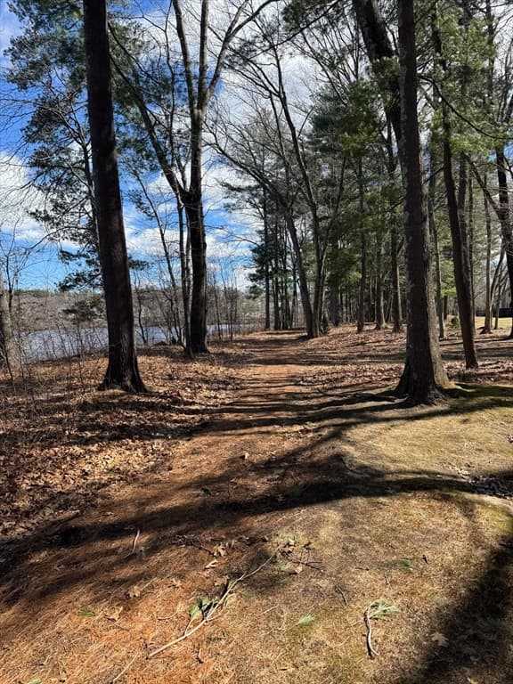 Condominium at 139 Wellman Ave # 139, Chelmsford MA 01863, photo 3 of 30