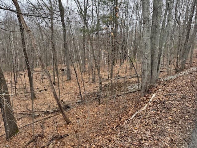 Residential at Lot 2 Gould Road, Charlton MA 01507, Charlton, photo 3 of 4