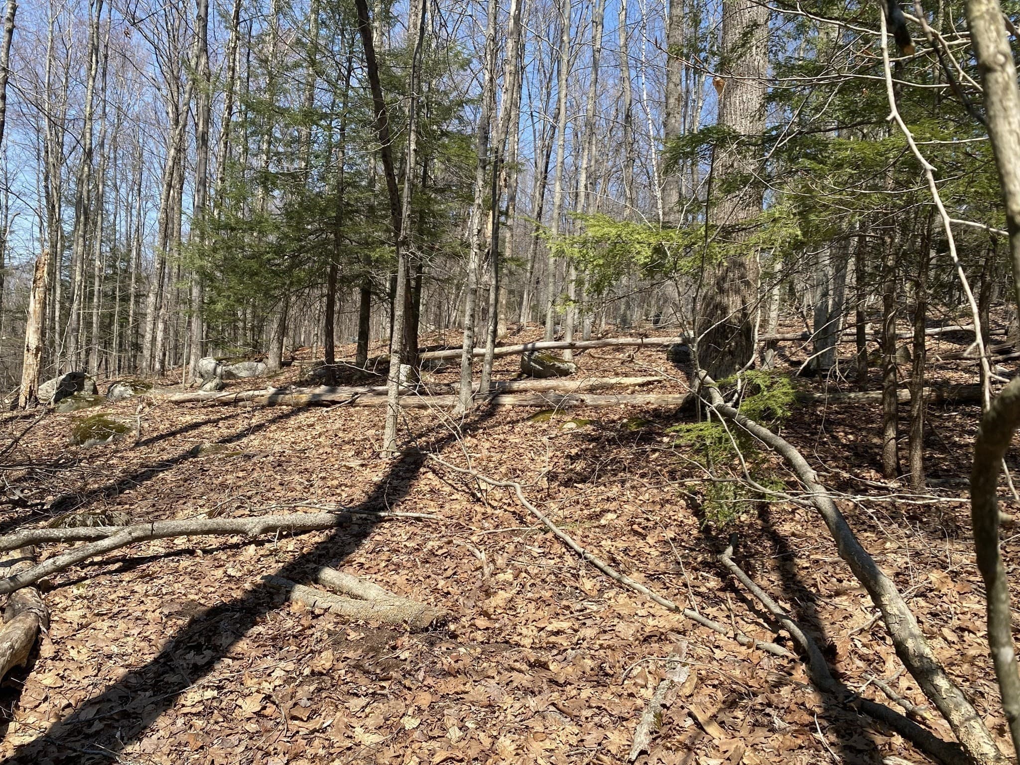 Residential at Lot 15 Colebrook River Rd, Tolland MA 01034, photo 2 of 11