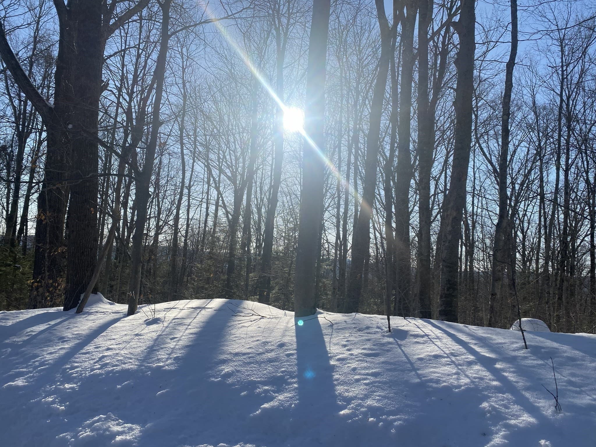 Residential at Lot 15 Colebrook River Rd, Tolland MA 01034, photo 6 of 11