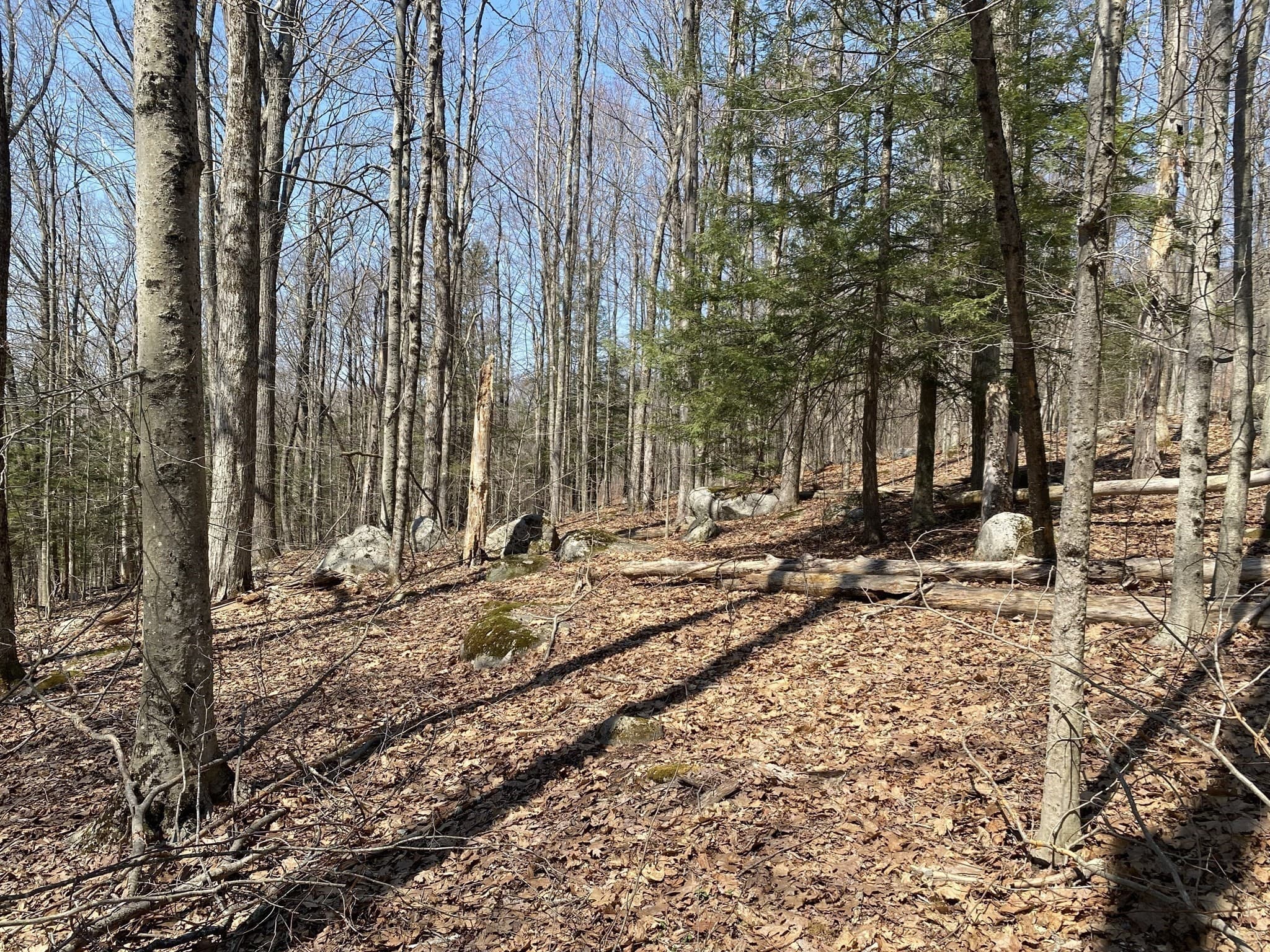 Residential at Lot 15 Colebrook River Rd, Tolland MA 01034, photo 3 of 11