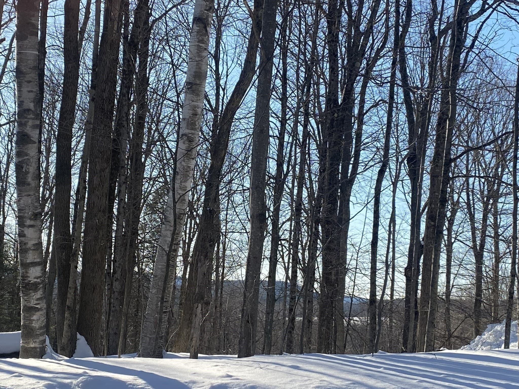Residential at Lot 15 Colebrook River Rd, Tolland MA 01034, photo 5 of 11