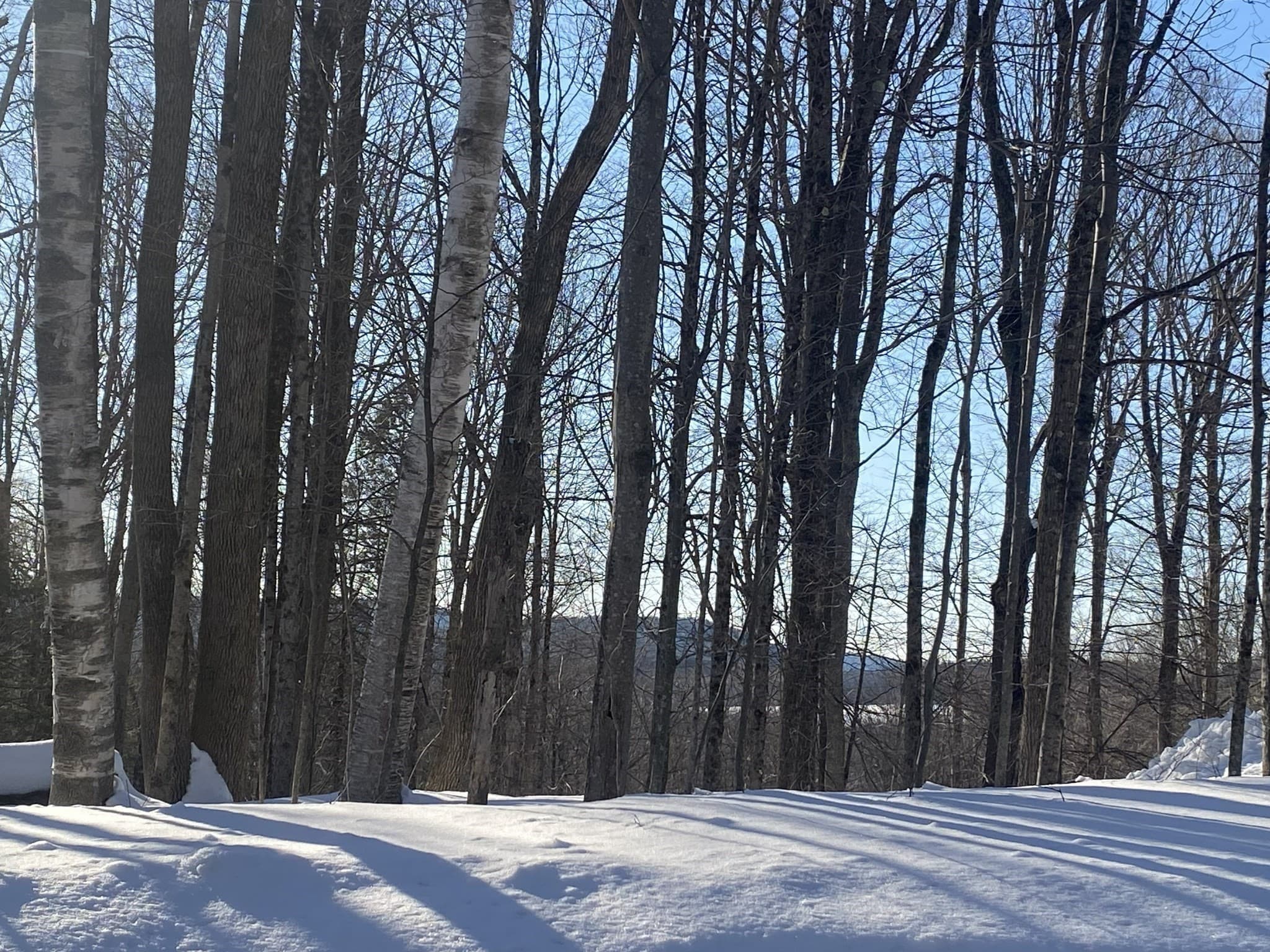 Residential at Lot 15 Colebrook River Rd, Tolland MA 01034, photo 10 of 11