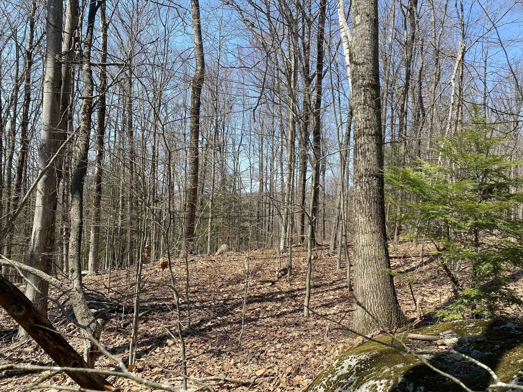 Residential at Lot 15 Colebrook River Rd, Tolland MA 01034, photo 4 of 11