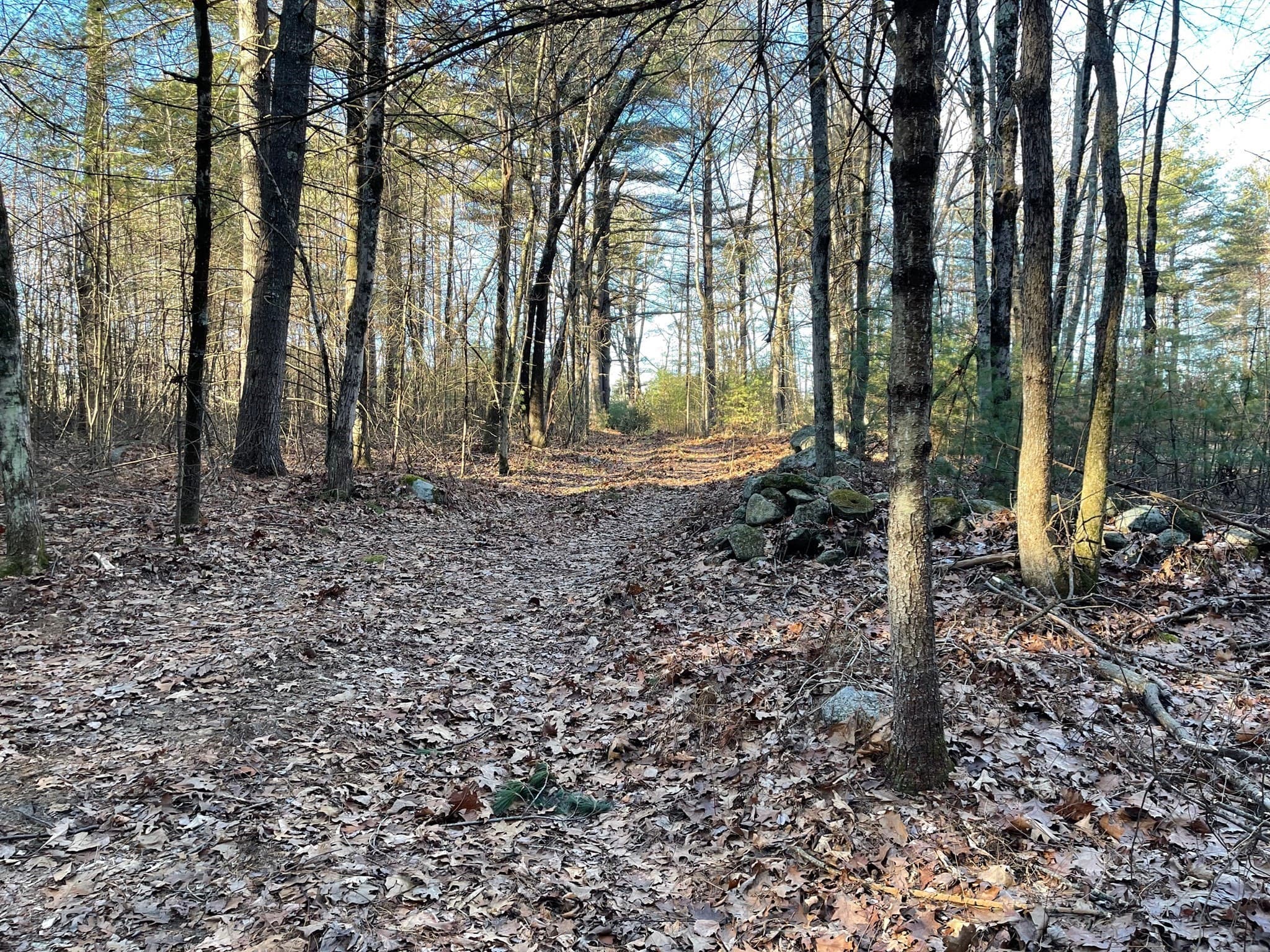 Residential at Lot 38 Michael Sears, Belchertown MA 01007, Belchertown, photo 3 of 4