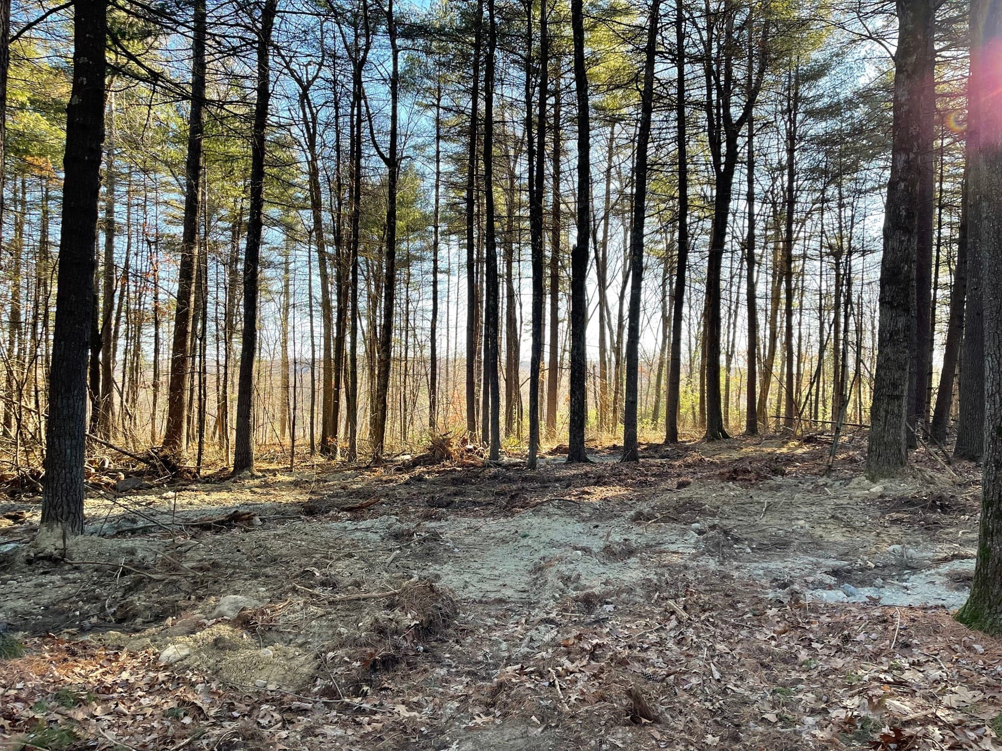 Lot 38 Michael Sears, Belchertown MA 01007