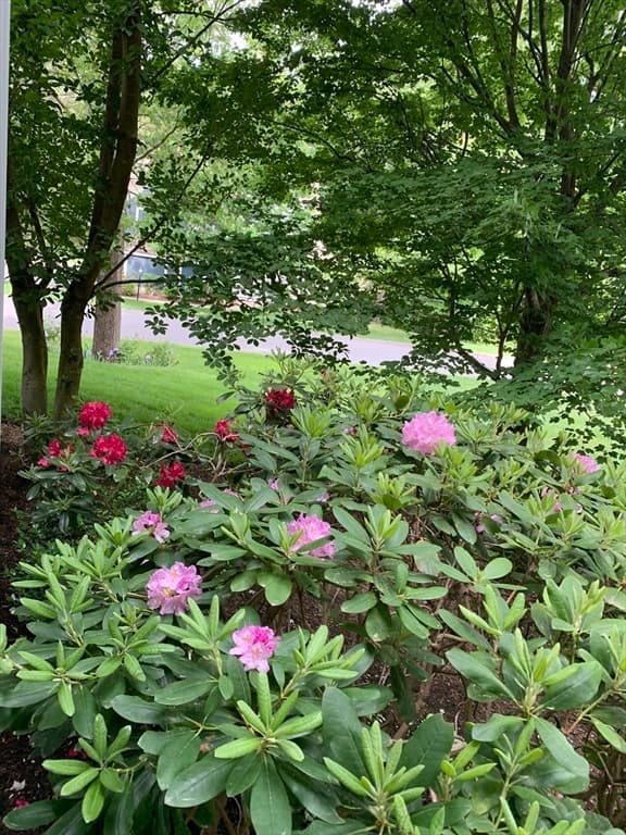 Condominium at 11 Longmeadow Way # 11, Acton MA 01720, photo 25 of 29