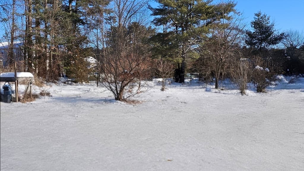 45 River St, Belchertown MA 01007 photo 19