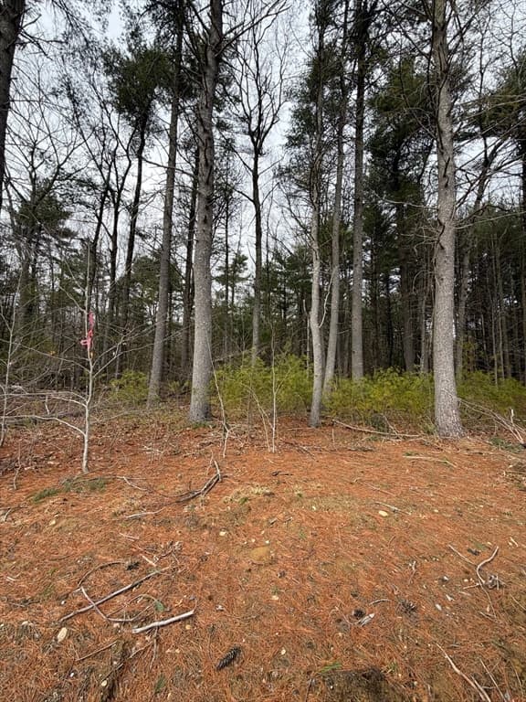0 Pine St, Raynham MA 02767
