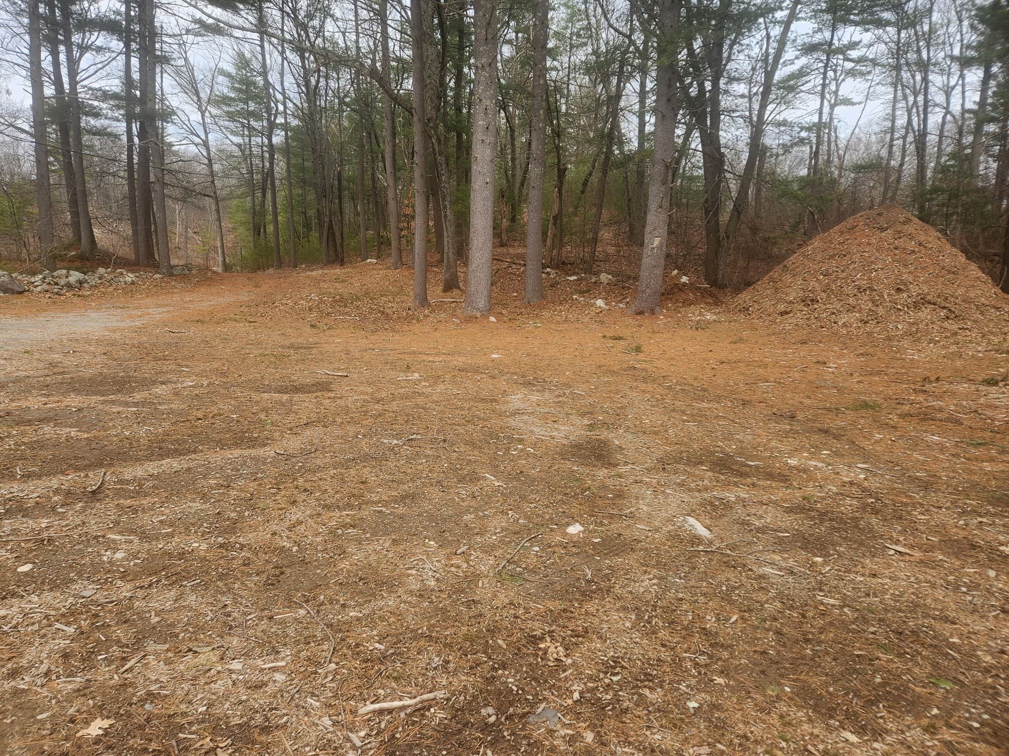 Residential at 63 Farm Road  Lot 5, Sherborn MA 01770, photo 6 of 8