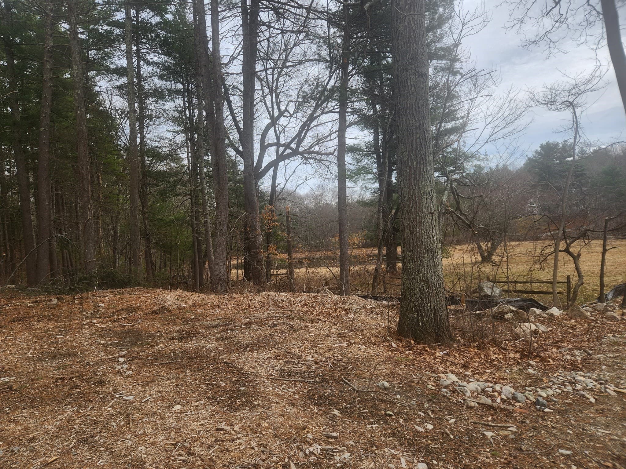 Residential at 63 Farm Road  Lot 5, Sherborn MA 01770, photo 3 of 8
