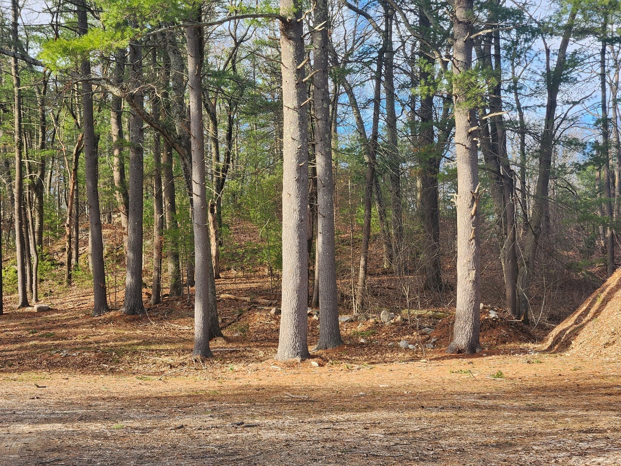 63 Farm Road  Lot 5, Sherborn MA 01770