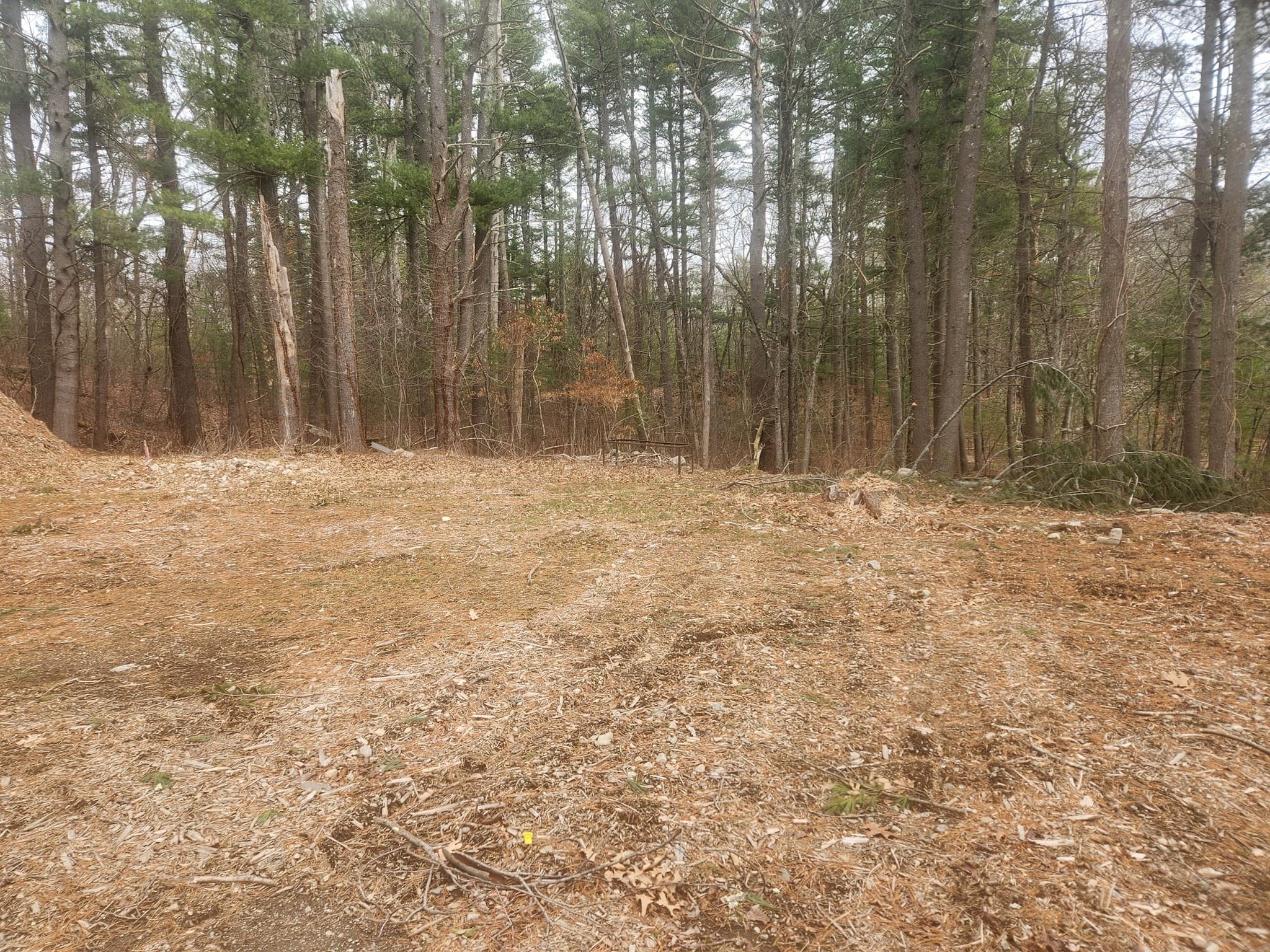Residential at 63 Farm Road  Lot 5, Sherborn MA 01770, photo 4 of 8