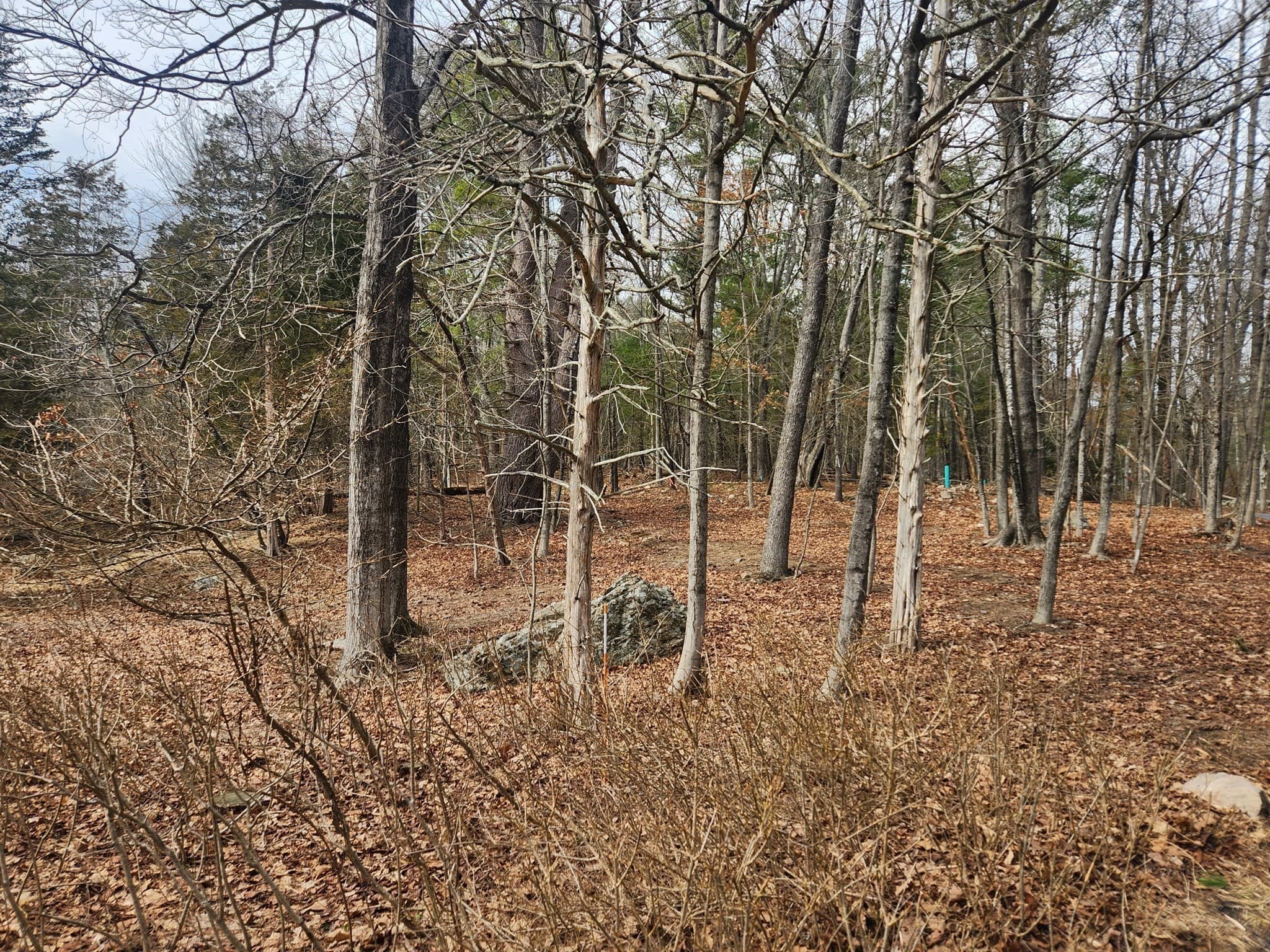 Residential at 147 Washington Street Lot 2, Sherborn MA 01770, photo 2 of 7