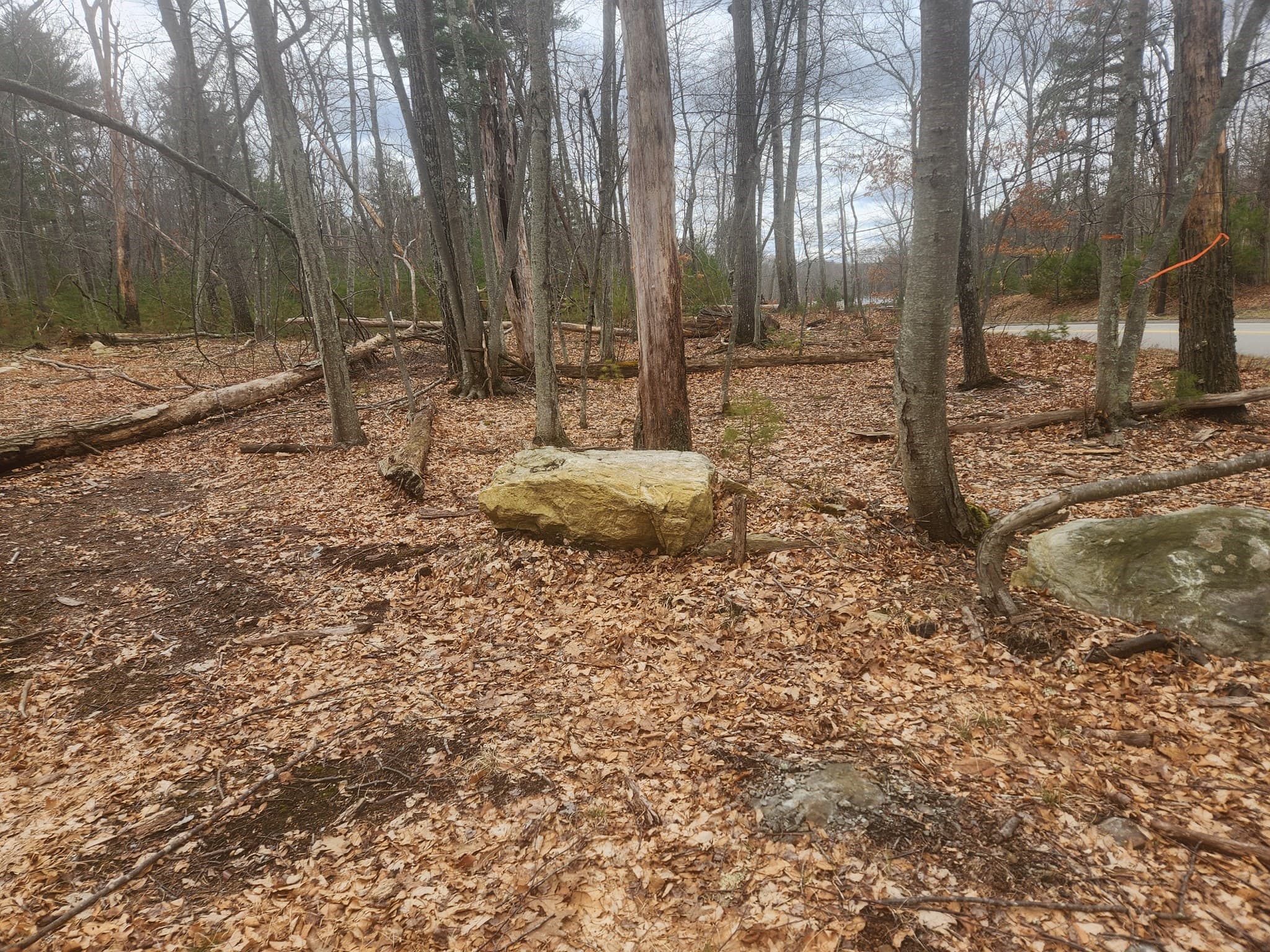 Residential at 147 Washington Street Lot 2, Sherborn MA 01770, photo 6 of 7