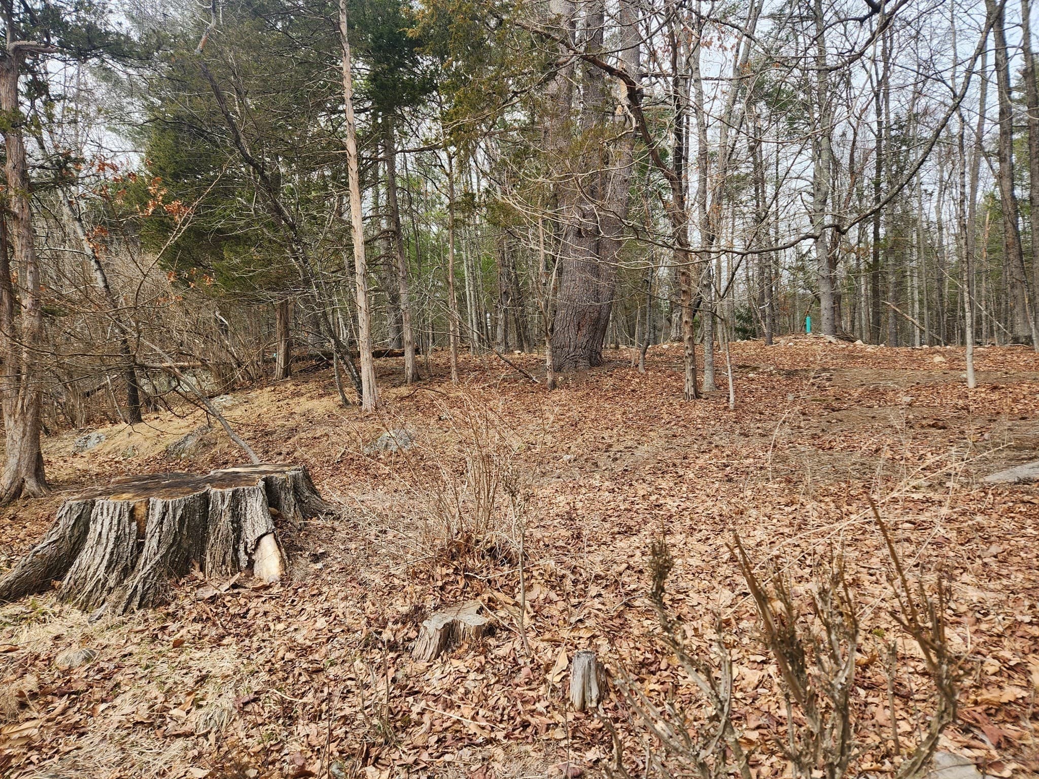 Residential at 147 Washington Street Lot 2, Sherborn MA 01770, photo 3 of 7
