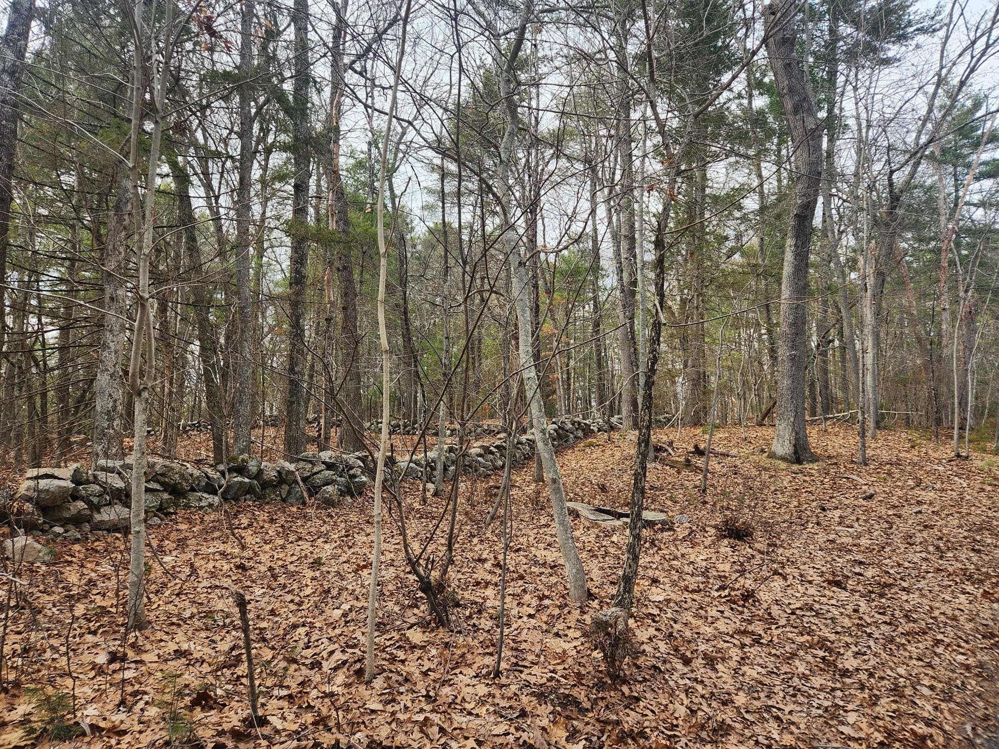 147 Washington Street Lot 2, Sherborn MA 01770