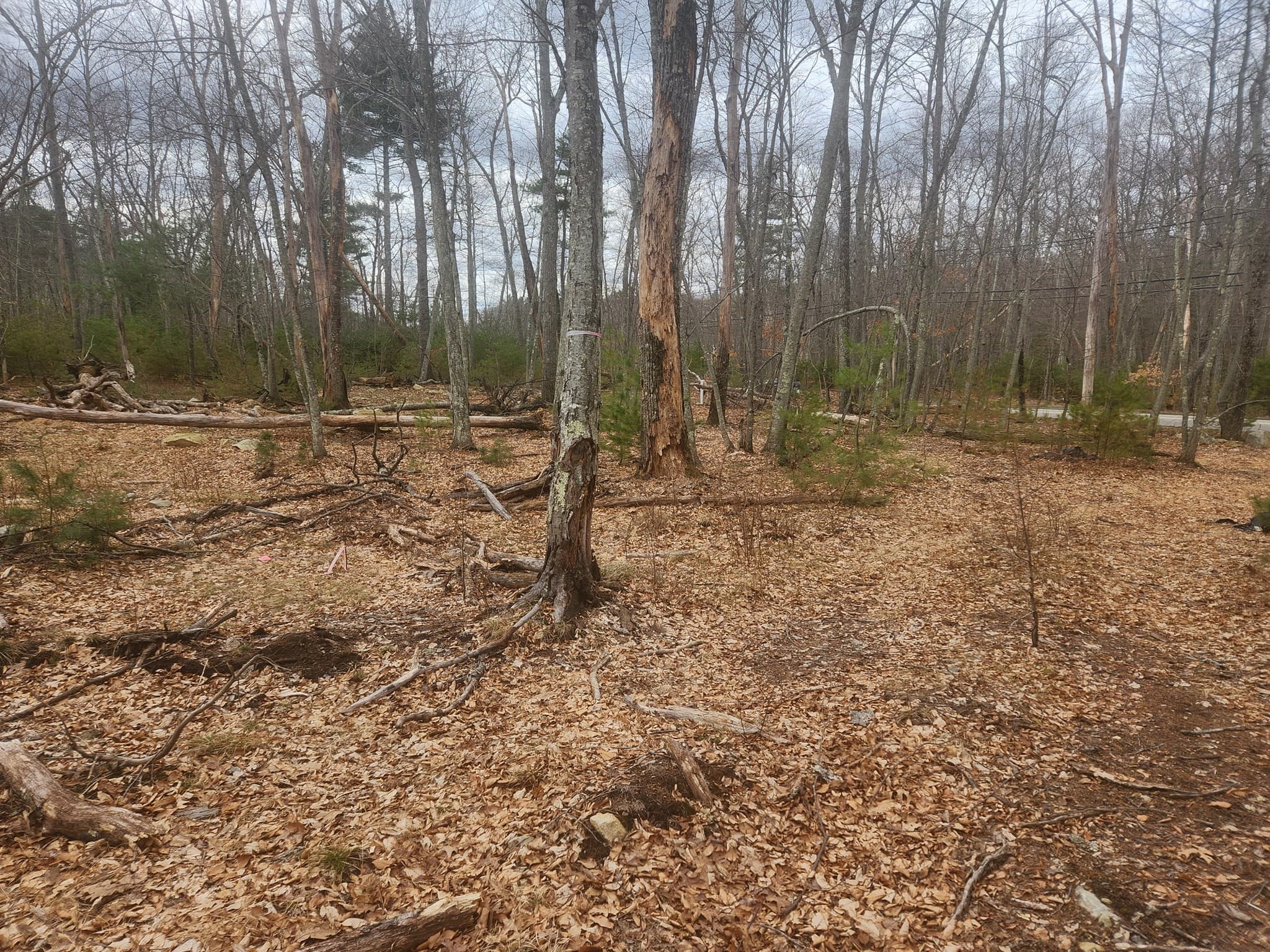Residential at 147 Washington Street Lot 2, Sherborn MA 01770, photo 5 of 7