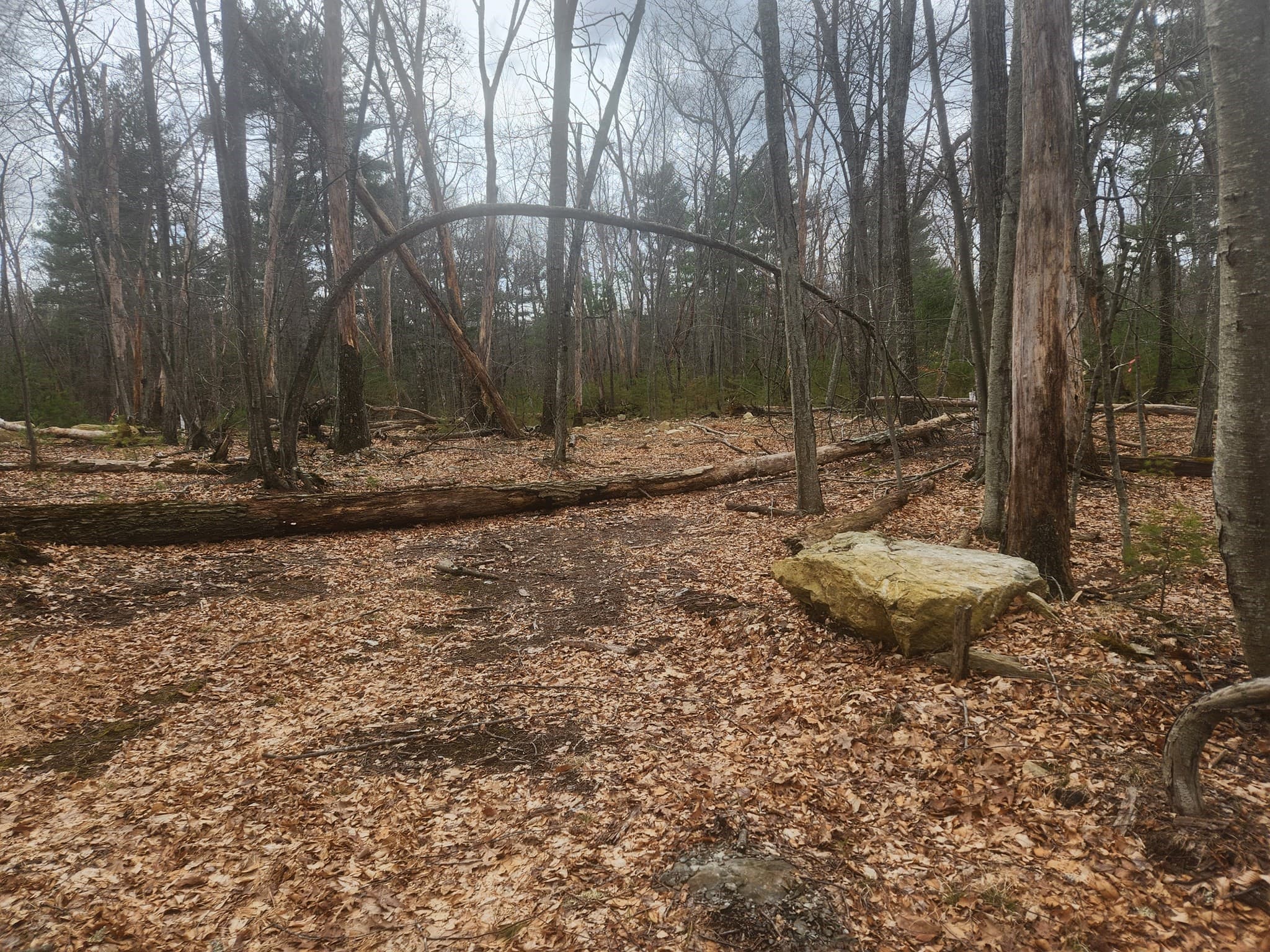Residential at 147 Washington Street Lot 2, Sherborn MA 01770, photo 4 of 7