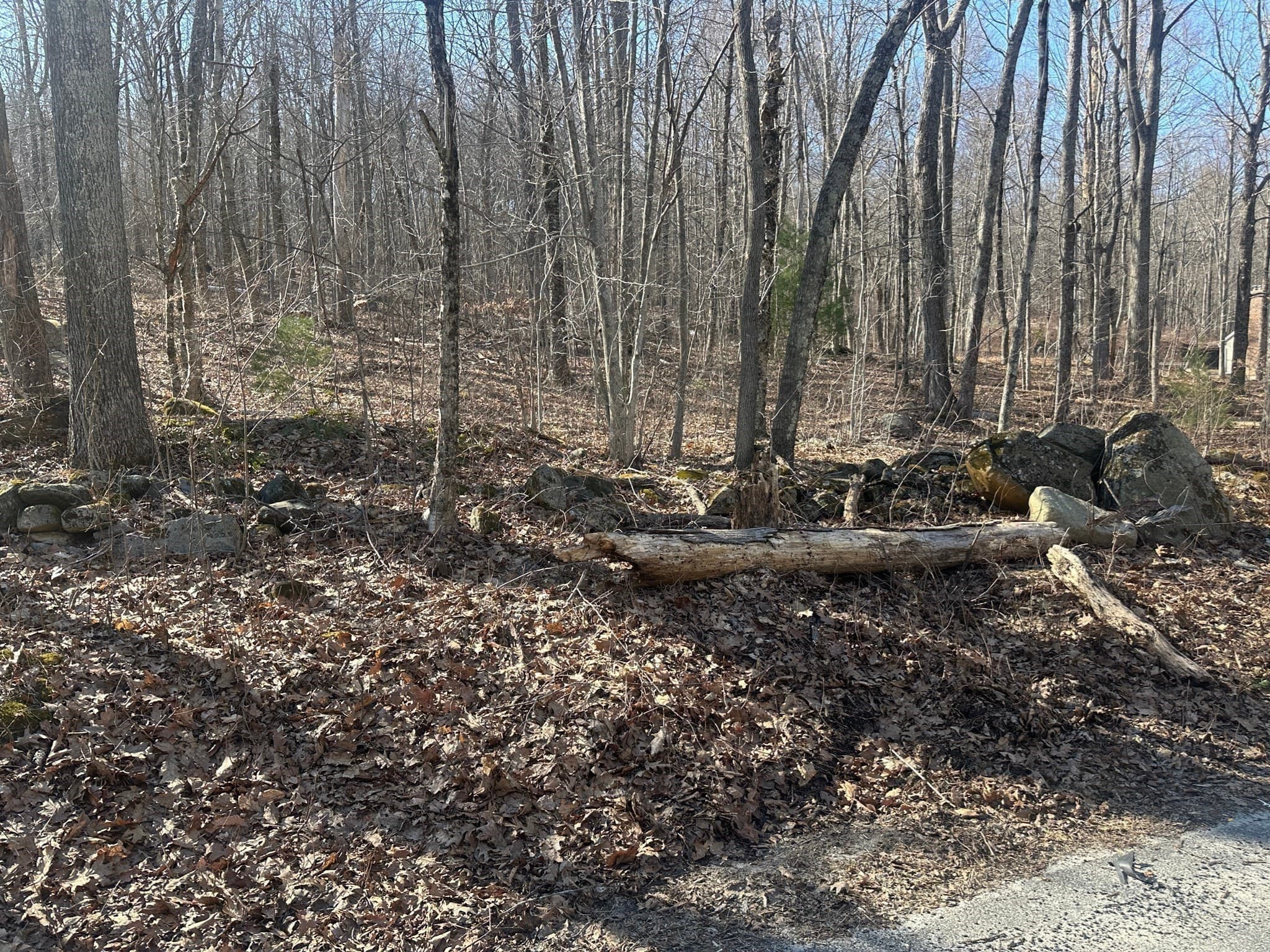 Residential at Lot 1 Woodhill Rd, Monson MA 01057, photo 3 of 9