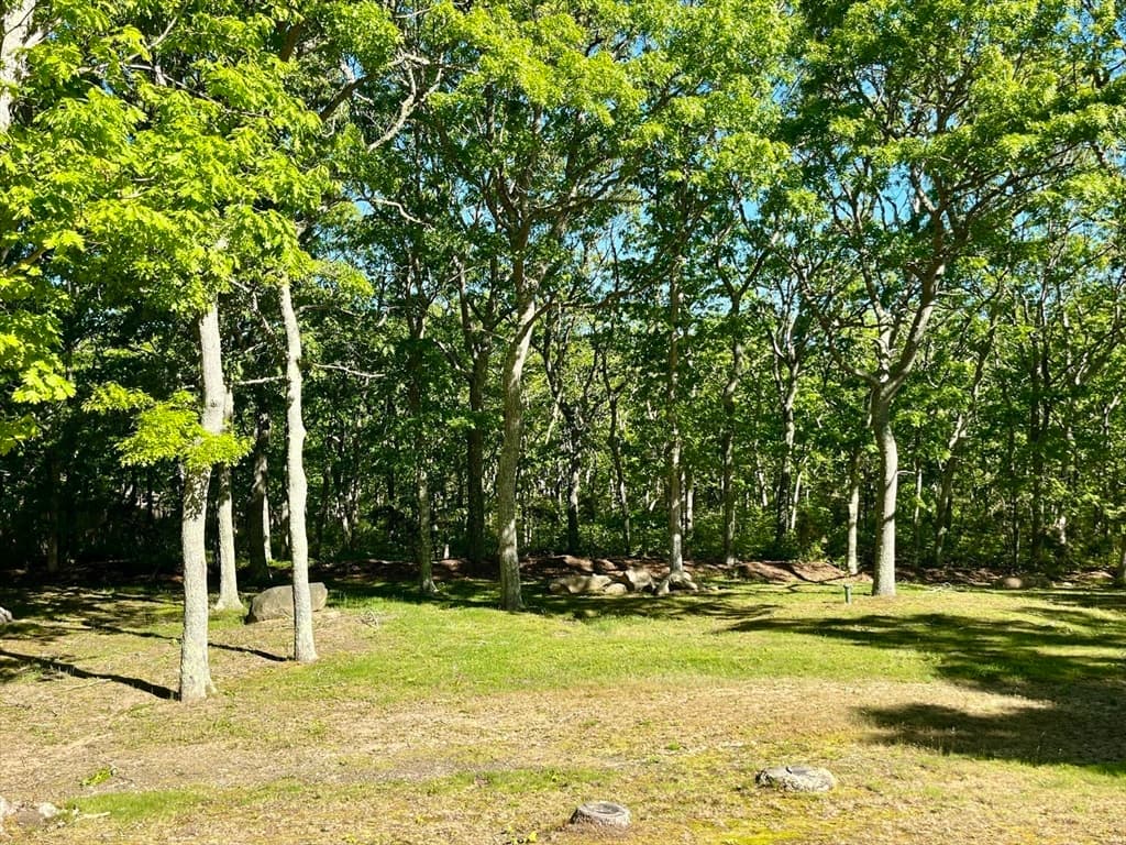 81 Whalers Walk, Edgartown MA 02539 photo 3
