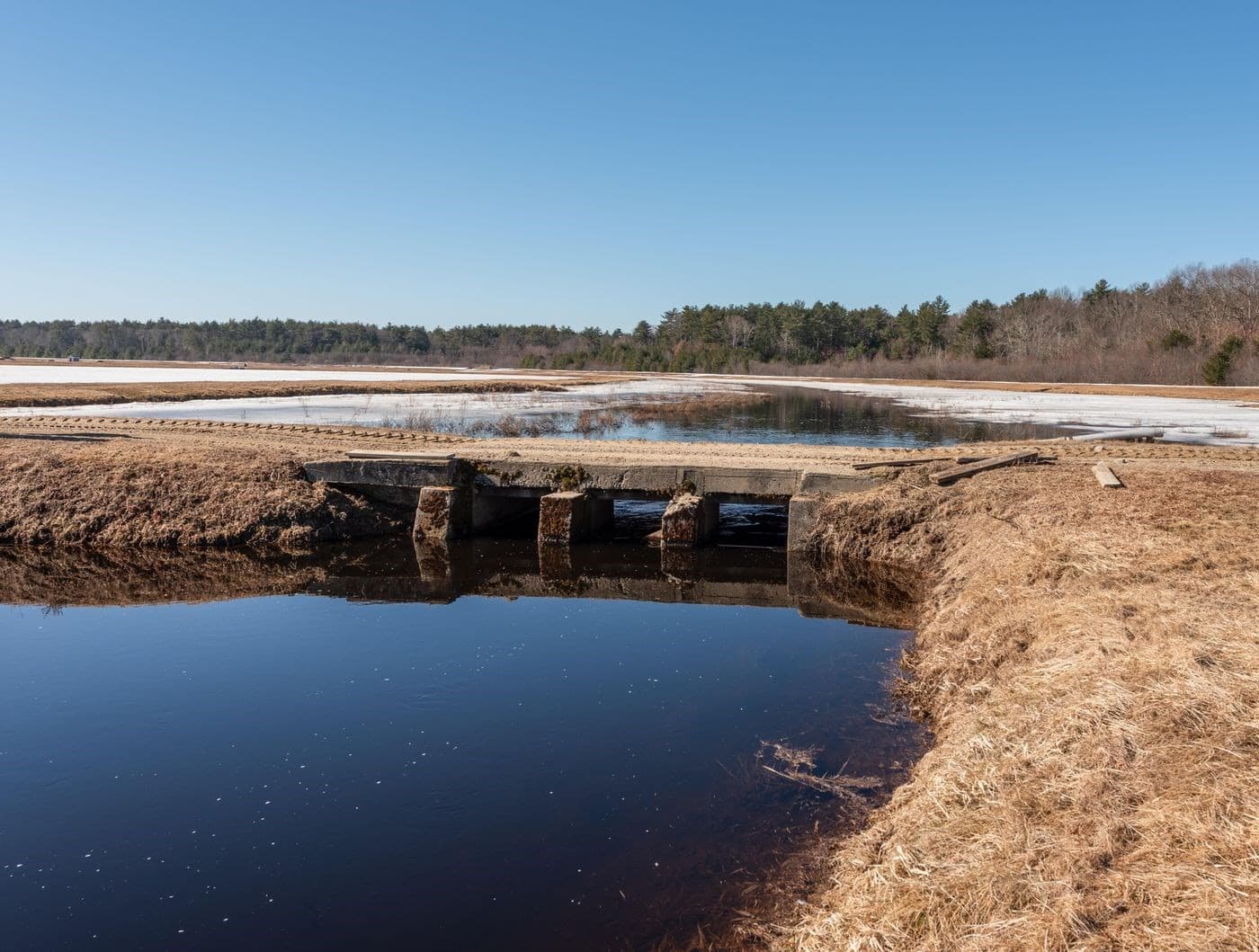 Agriculture at 210 Bay Rd, Norton MA 02766, photo 20 of 24