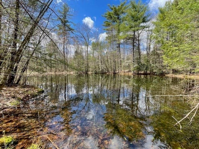 7-L New Athol Rd, Petersham MA 01366