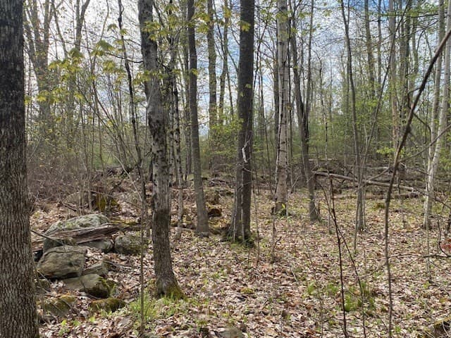 Residential at 11-L New Athol Rd, Petersham MA 01366, photo 2 of 3