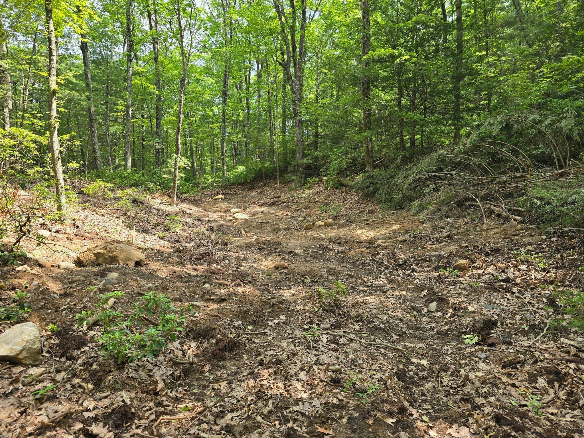 Residential at 37 N Farms Rd, Williamsburg MA 01039, photo 3 of 7
