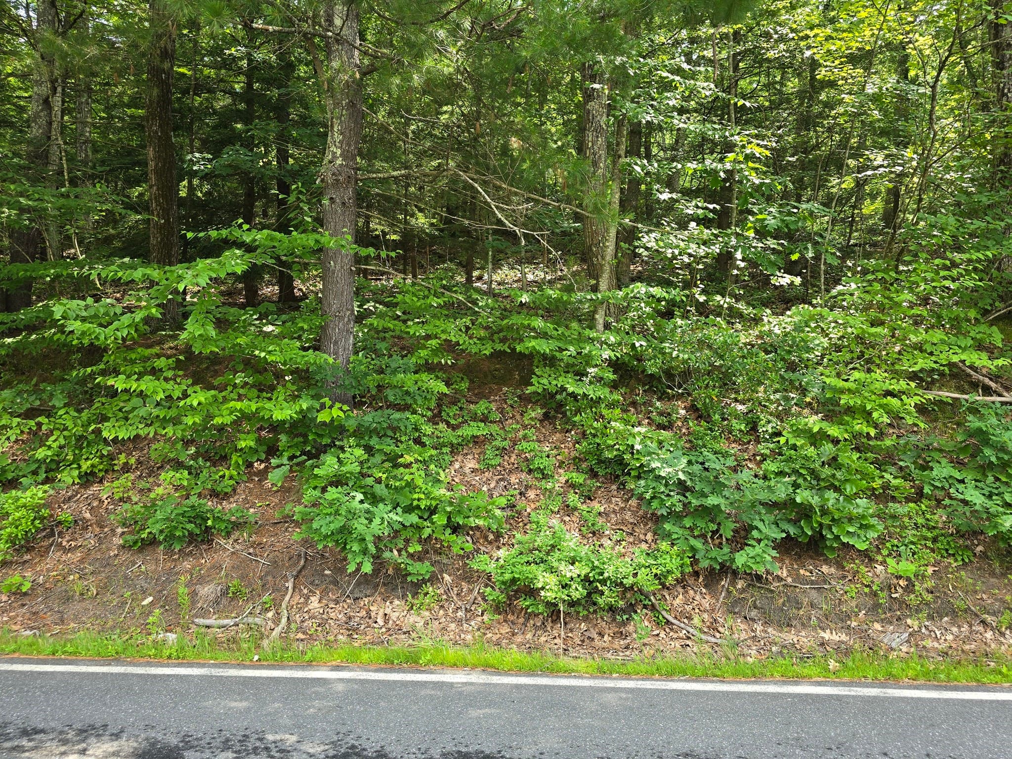 37 N Farms Rd, Williamsburg MA 01039
