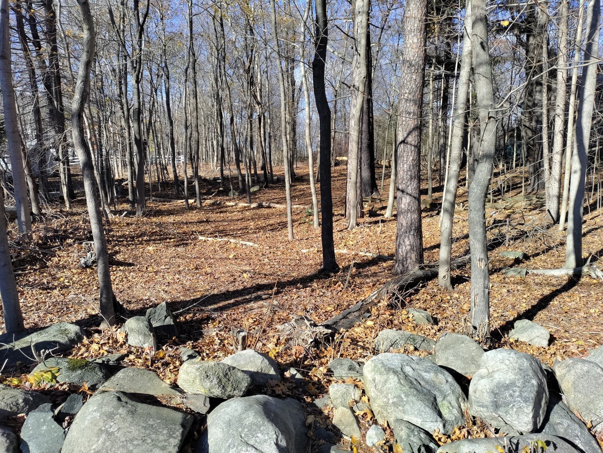 Residential at 125 Topsfield Rd, Ipswich MA 01938, photo 2 of 4