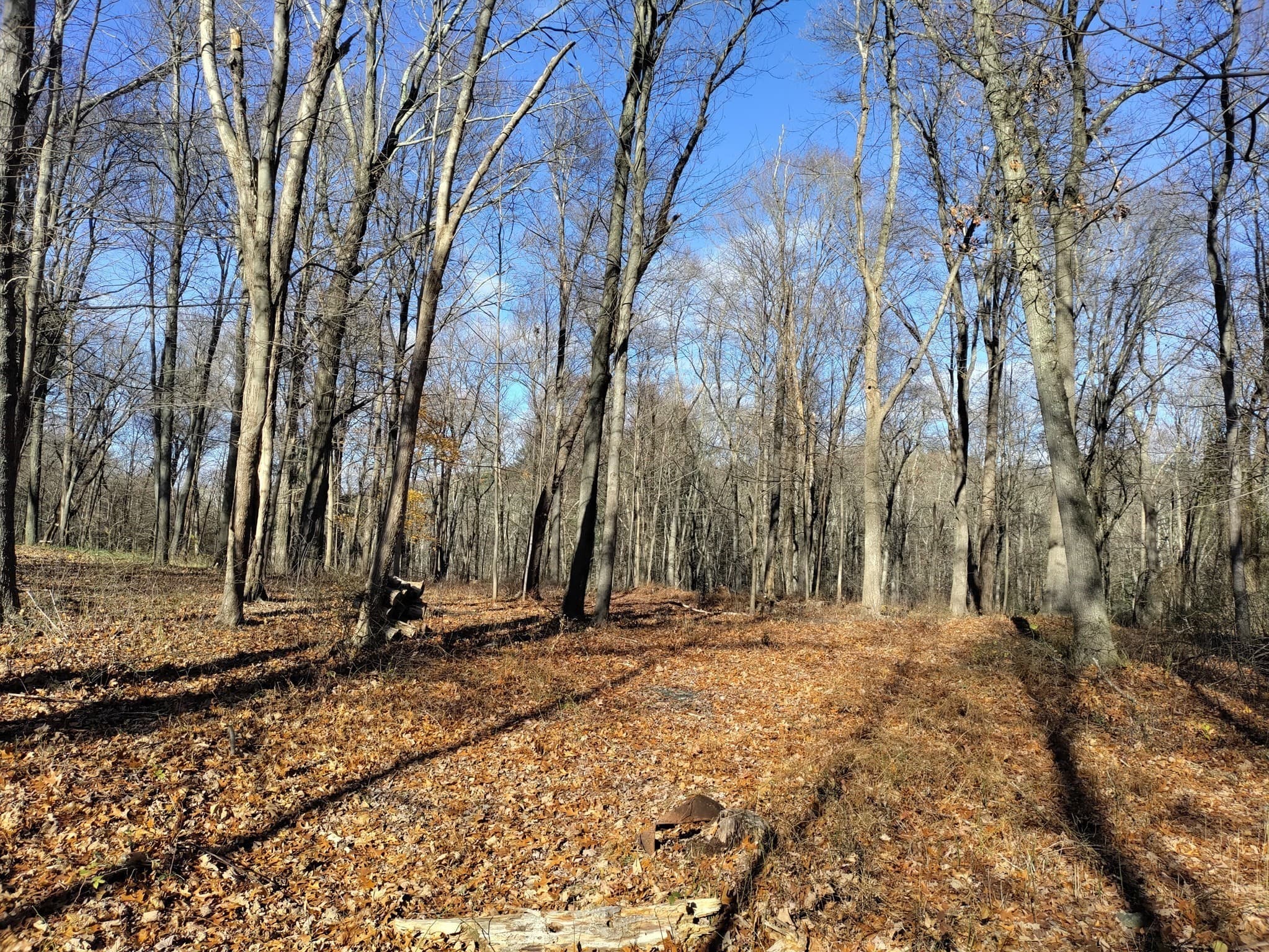 125 Topsfield Rd, Ipswich MA 01938