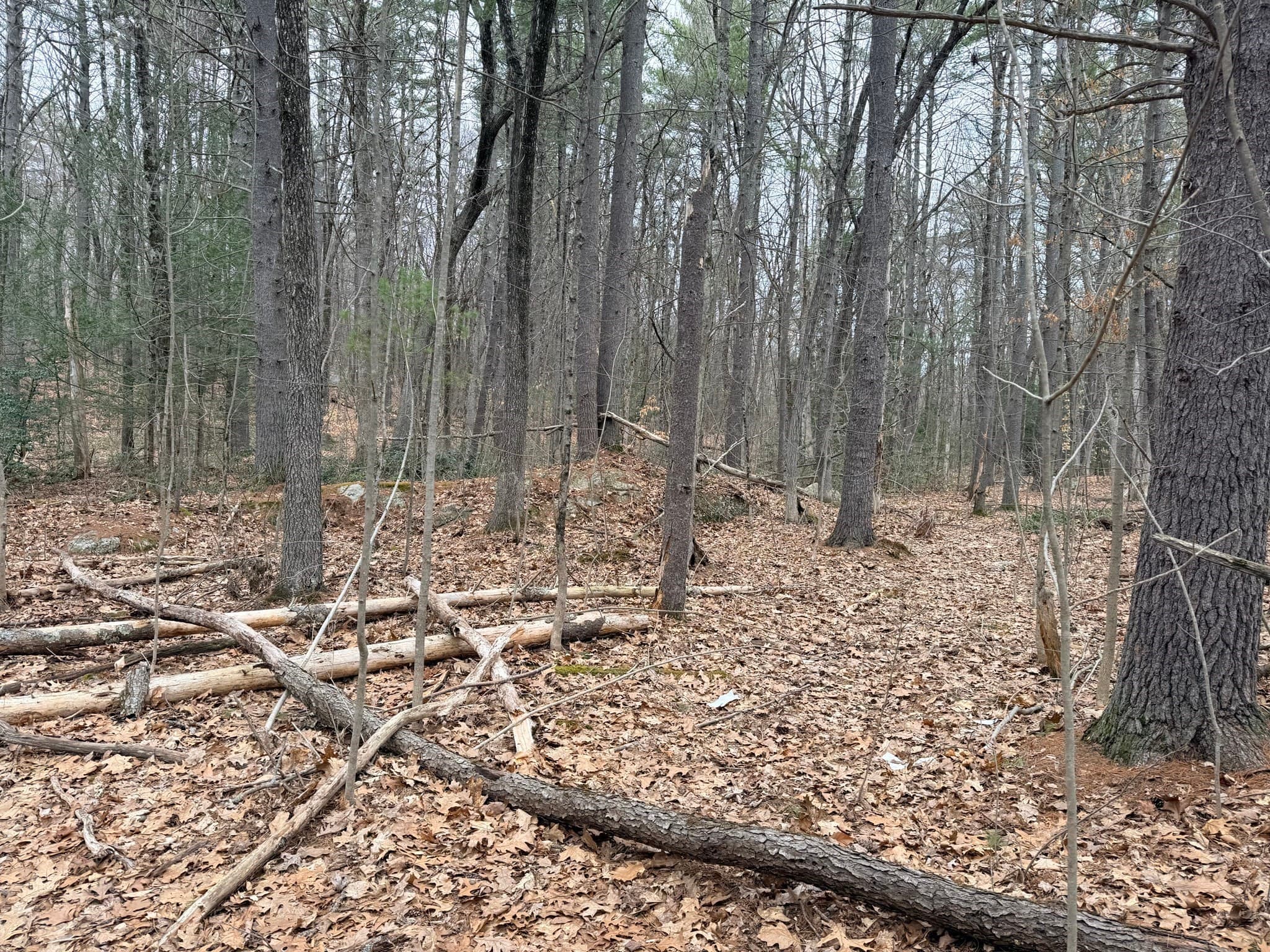 Residential at 201 New West Townsend Rd, Lunenburg MA 01462, photo 2 of 11