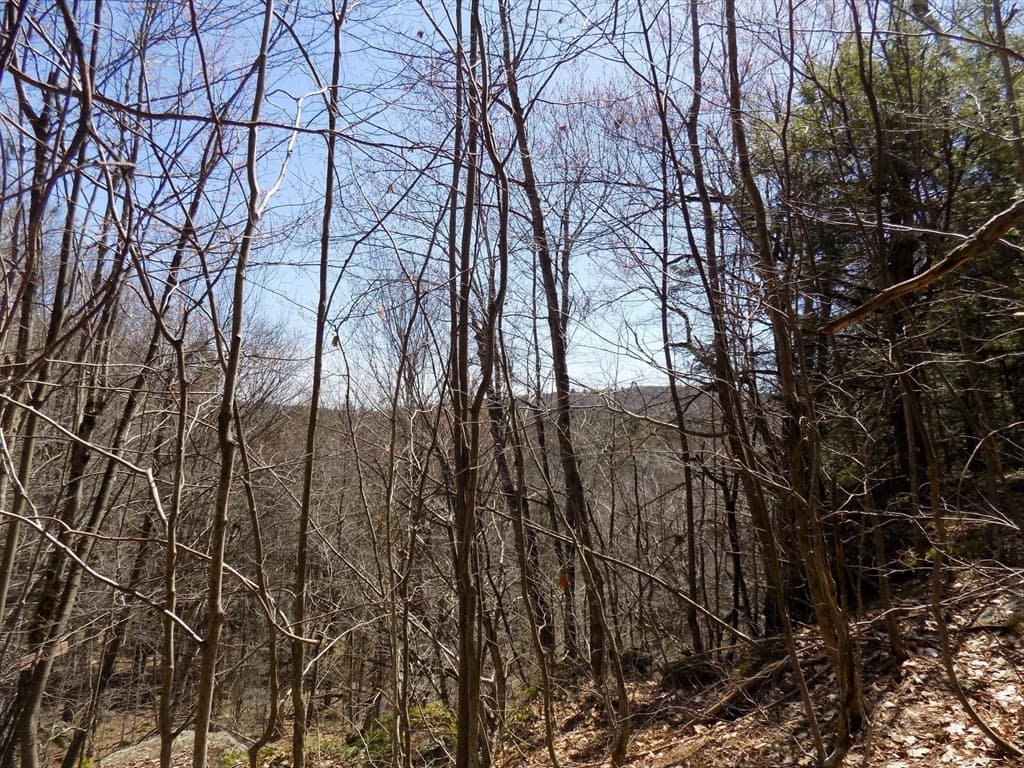 Lot 7 Skyline Ridge Rd., Becket MA 01223 photo 13